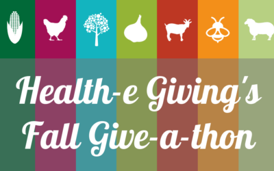 Health-e Giving’s Fall Give-a-thon