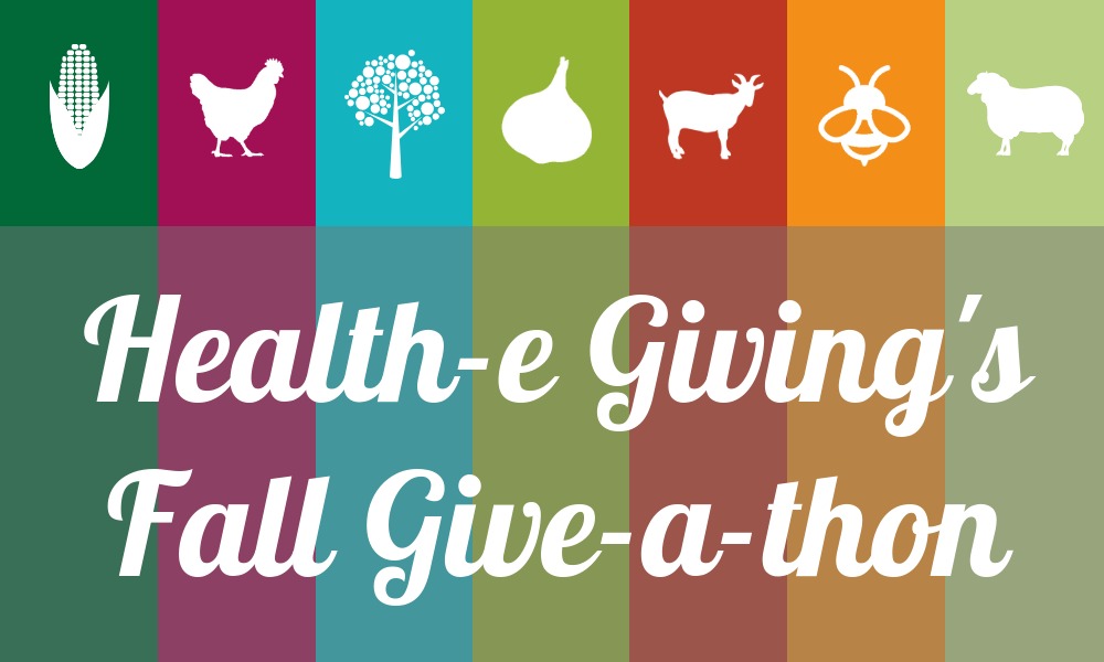 Health-e Giving’s Fall Give-a-thon