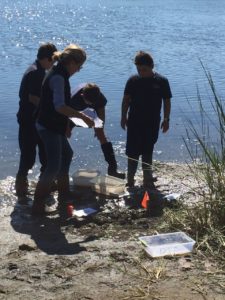 estuary water test