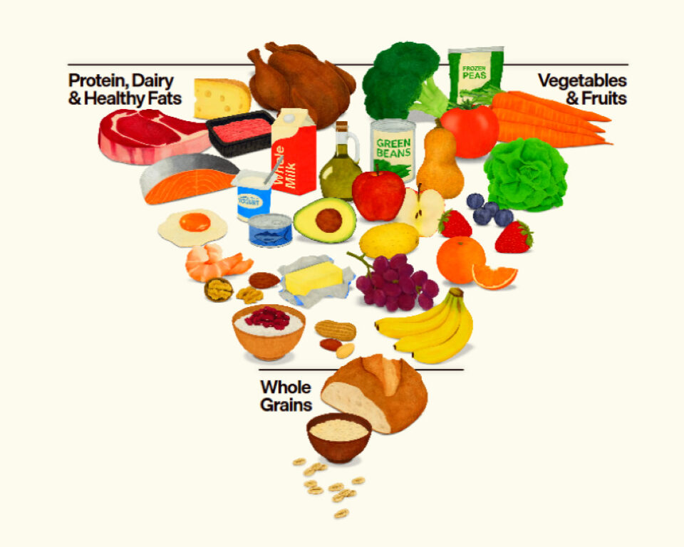 The new Dietary Guidelines for Americans inverted pyramid.